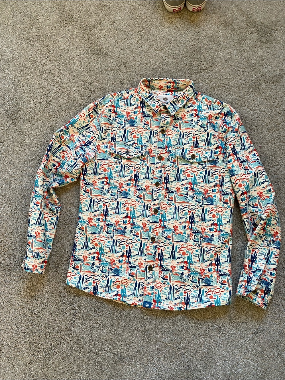 Casual Desert-Print Long-Sleeve Button-Down Shirt - Multicolor